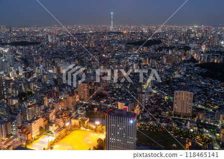 [東京] 俯瞰天空樹的城市夜景 118465141