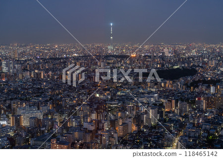 Tokyo: City night view overlooking the Skytree 118465142