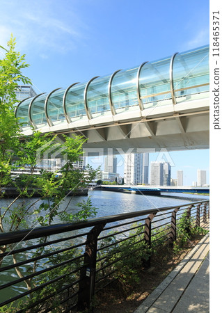 Scenery of "Hamamirai Walk" connecting Yokohama Station East Exit to Minato Mira 118465371