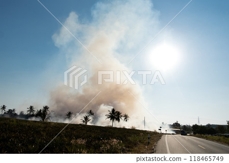 Burning dry grass 118465749