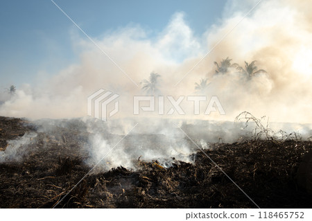 Burning dry grass 118465752