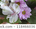 Beautiful flowers Amaryllis in a bouquet of chrysanthemums. 118466036