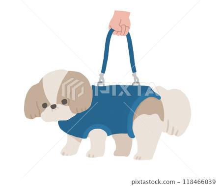Dog in harness Dog in harness 118466039