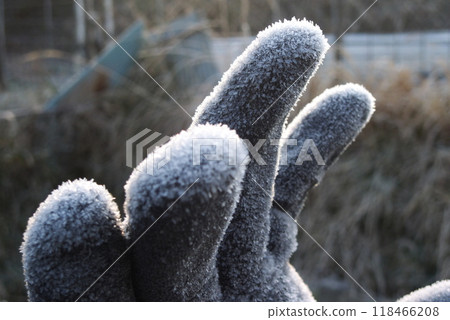 Frost-covered gloves on a winter morning 118466208