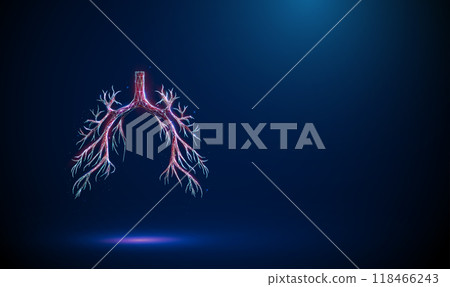 Abstract red human bronchial tree structure. Lungs anatomy, left and right bronchus, bronchioles, trachea. Healthcare medical concept. 118466243