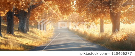 a quiet country road lined with trees full of golden autumn leaves, soft sunlight filtering through the branches 118466277