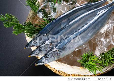 Fresh saury food image Fresh saury food image 118466425