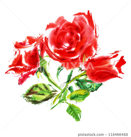 Bright red roses with green leaves in juicy watercolor. It is hand-drawn in bright juicy strokes of bright red, scarlet color. The roses petals are open, isolated on white background. Elegant bouquet 118466488