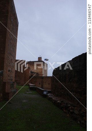 阿爾罕布拉宮阿爾卡薩瓦的貝拉塔 阿爾罕布拉宮阿爾卡薩瓦的貝拉塔 118466547