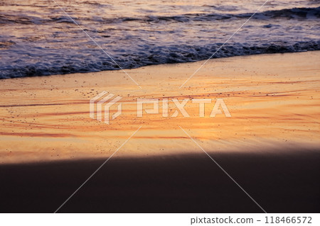 潮流 118466572