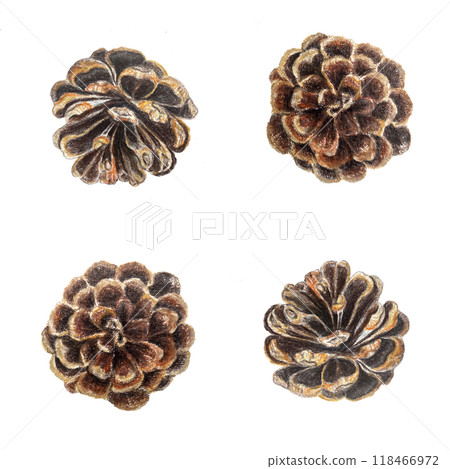 Pine cones watercolor seamless pattern. Hand painted plant design element set isolated on white. High quality illustration perfect for cards, banners, posters, textile, Christmas and New Year decor Pine cones watercolor seamless pattern. Hand painted plant design element set isolated on white. High quality illustration perfect for cards, banners, posters, textile, Christmas and New Year decor 118466972
