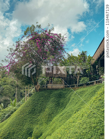 Small wooden gazebo on the side of a green hill 118467139