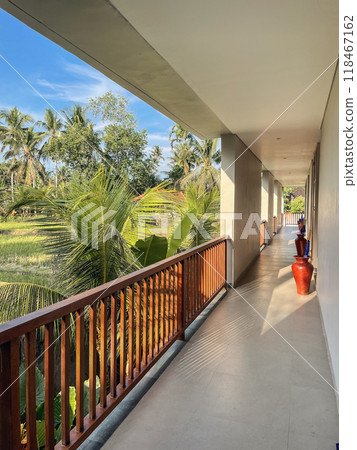 Picturesque view from balcony to palm trees and rice fields Picturesque view from balcony to palm trees and rice fields 118467162