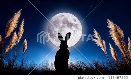 Autumn Moon Viewing 118467263