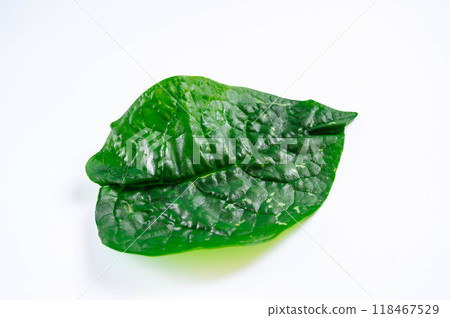 鶴村崎葉 118467529