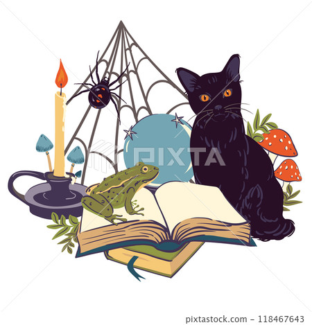 Magic shop decorated for Halloween. Witchcraft attributes, frog, grimoire, magic ball, black cat, spider. Vector illustration in flat style. Occultism and esotericism concept. 118467643
