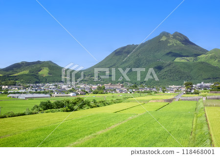 新綠色由布院盆地田園風光 新綠色由布院盆地田園風光 118468001