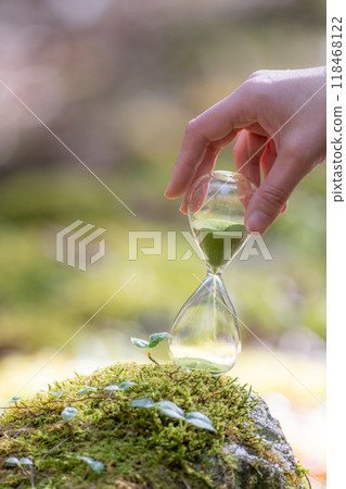 Moss forest and hourglass 118468122