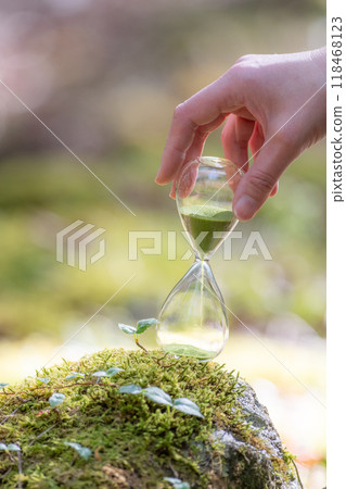 Moss forest and hourglass 118468123