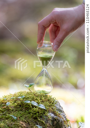 苔蘚森林和沙漏 118468124