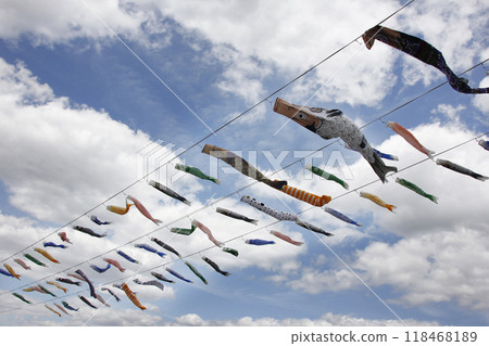 The carp streamers swim comfortably in the refreshing May breeze. The carp streamers swim comfortably in the refreshing May breeze. 118468189