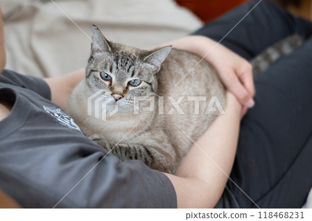 抱一隻貓 118468231