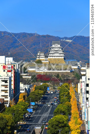 [Hyogo Prefecture] Himeji Castle and Otemae Street on a clear day 118468594
