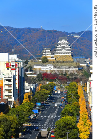 [Hyogo Prefecture] Himeji Castle and Otemae Street on a clear day 118468595