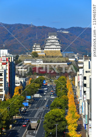[Hyogo Prefecture] Himeji Castle and Otemae Street on a clear day 118468597