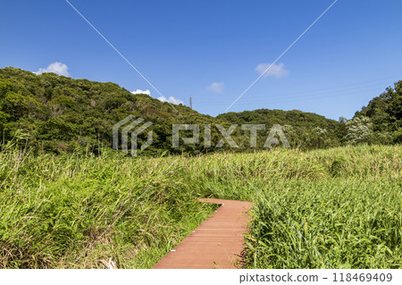小次郎森林的夏天 小次郎森林的夏天 118469409