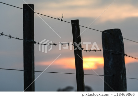 Wire fence at sunset in the Argentine countryside. Wire fence at sunset in the Argentine countryside. 118469866