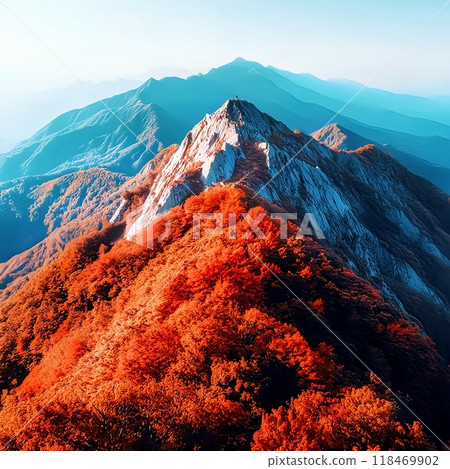 秋葉山 118469902