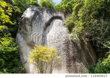 Maitreya Cliff-Carved Buddha (Kasagi Temple) Maitreya Cliff-Carved Buddha (Kasagi Temple) 118469915