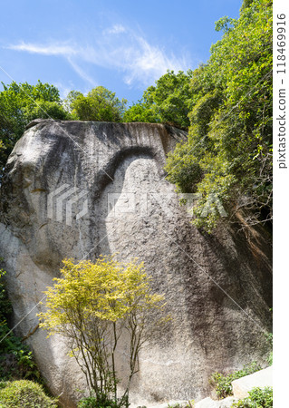 Maitreya Cliff-Carved Buddha (Kasagi Temple) 118469916