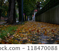 Fallen yellow autumn leaves lie on the road in rain puddles. Late autumn landscape 118470088