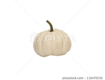 Autumn white decorative pumpkin isolated on a white background. Pumpkins of different shapes Autumn white decorative pumpkin isolated on a white background. Pumpkins of different shapes 118470538