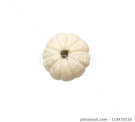 Autumn white decorative pumpkin isolated on a white background. Pumpkins of different shapes Autumn white decorative pumpkin isolated on a white background. Pumpkins of different shapes 118470539