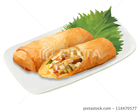 Spring rolls (1 roll and cross section) on a long plate 118470577