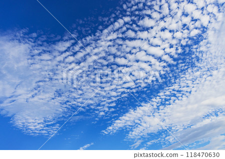 雲秤 雲秤 118470630