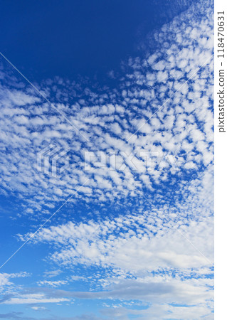 雲秤 雲秤 118470631