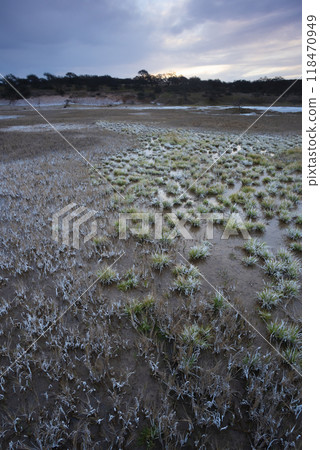 Saltpeter on the floor of a lagoon in a semi desert environment, La Pampa province, Patagonia, Argentina. 118470949