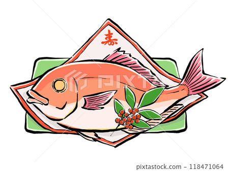 慶祝鯛魚(烤鯛魚)的手寫日式插圖 慶祝鯛魚(烤鯛魚)的手寫日式插圖 118471064