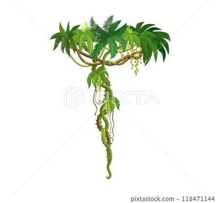 Tropical jungle rain forest vertical liana vine branch and leaves. Cartoon vector hanging tree leaves, exotic plant thicket, rainforest climbing roots. Amazon or african nature, green foliage spinney 118471144
