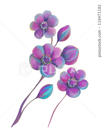Isolated bright brunch with purple flowers and buds 118471182