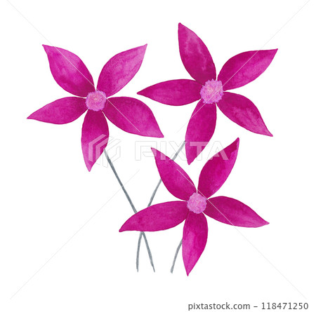 Isolated floral design element 118471250