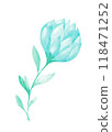 Isolated softness teal colored floral design element 118471252