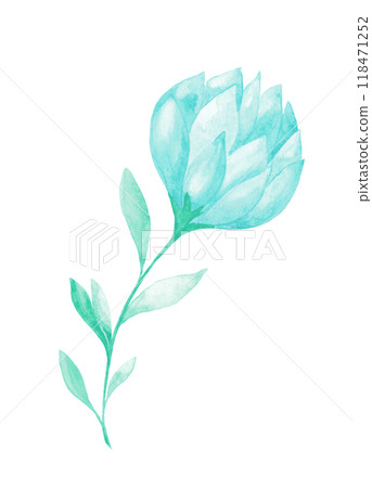 Isolated softness teal colored floral design element 118471252