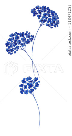 Isolated softness floral set 118471255