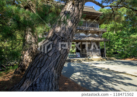 天德寺三門與巨松樹 秋田市 118471502