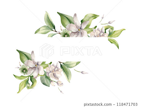 Jasmine blooms frame in watercolor illustration isolated. White flower border botanical style hand drawn. Flowers of jasmine on stems and leaves painted for design label, package tea, invitation. 118471703